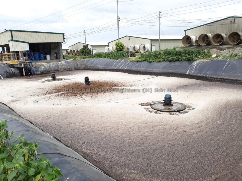 Piggery and livestock wastewater treatment, Philippines